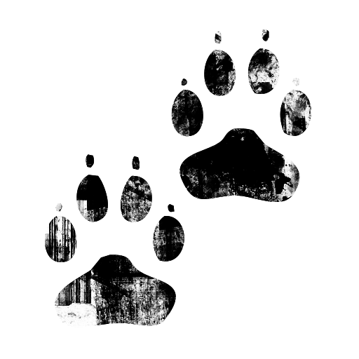 Kobus Signature